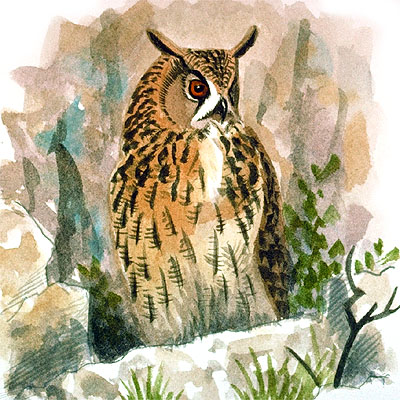 Aquarelle de Serge Nicolle